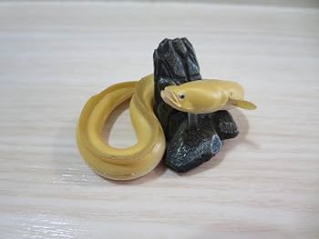 Amazon | 原色淡水魚図鑑【ウナギ(アルビノ)】フィギュア Amazon | 原色淡水魚図鑑【ウナギ(アルビノ)】フィギュア